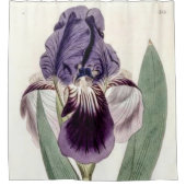 紫虹彩 シャワーカーテン (正面)