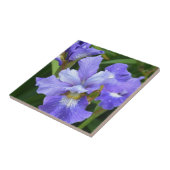 紫虹彩 タイル (側面)