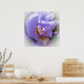 紫虹彩 ポスター (キッチン)