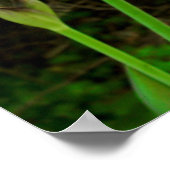 紫虹彩 ポスター (角)