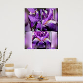 紫虹彩 ポスター (キッチン)