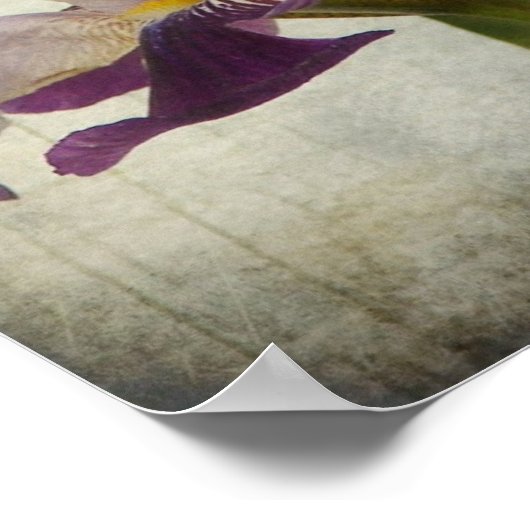 紫虹彩 ポスター (角)