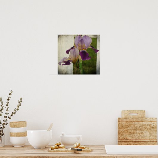 紫虹彩 ポスター (キッチン)