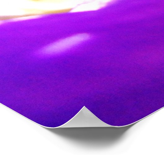 紫虹彩 ポスター (角)