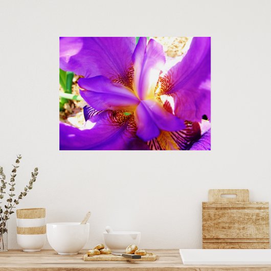 紫虹彩 ポスター (キッチン)