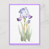 紫虹彩 ポストカード (正面)