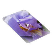 紫虹彩 マグネット (右側)