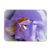 紫虹彩 マグネット (横)