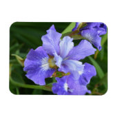 紫虹彩 マグネット (横)