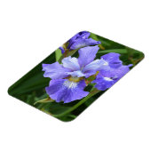 紫虹彩 マグネット (左側)