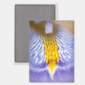 紫虹彩 マグネット (正面/裏面)