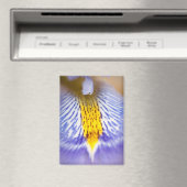 紫虹彩 マグネット (インサイチュ (食洗機))