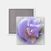 紫虹彩 マグネット (正面/裏面)