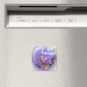 紫虹彩 マグネット (インサイチュ (食洗機))