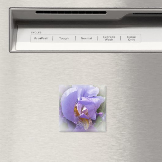 紫虹彩 マグネット (インサイチュ (食洗機))