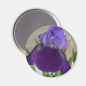 紫虹彩 マグネット (正面/裏面)