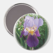 紫虹彩 マグネット (正面/裏面)