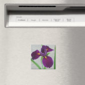 紫虹彩 マグネット (インサイチュ (食洗機))