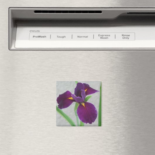 紫虹彩 マグネット (インサイチュ (食洗機))