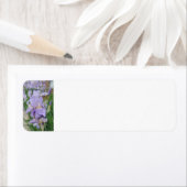 紫虹彩 ラベル (インサイチュ)