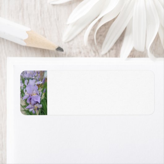 紫虹彩 ラベル (インサイチュ)