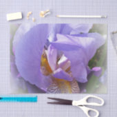 紫虹彩 薄葉紙 (クラフト)