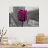 紫衣 ポスター (キッチン)