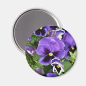 紫衣 マグネット (正面/裏面)