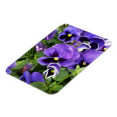 紫衣 マグネット (左側)