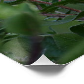 紫野花フォトポスター ポスター (コーナー)