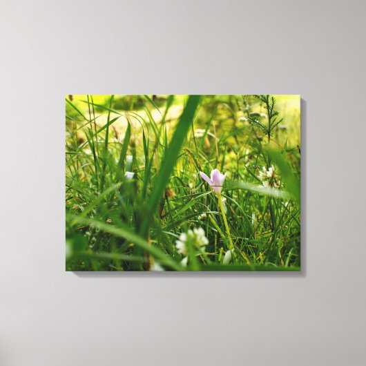 紫野花フローラ撮影 キャンバスプリント (正面)