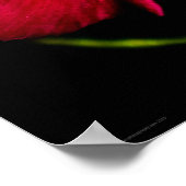 紫野花ワプカン ポスター (角)