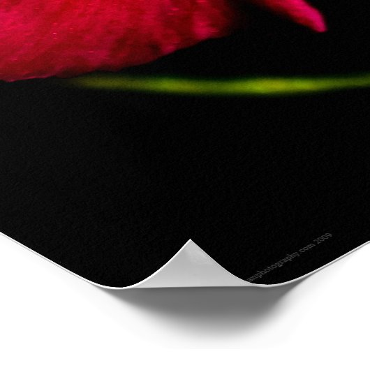 紫野花ワプカン ポスター (角)