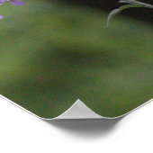 紫野花 ポスター (角)