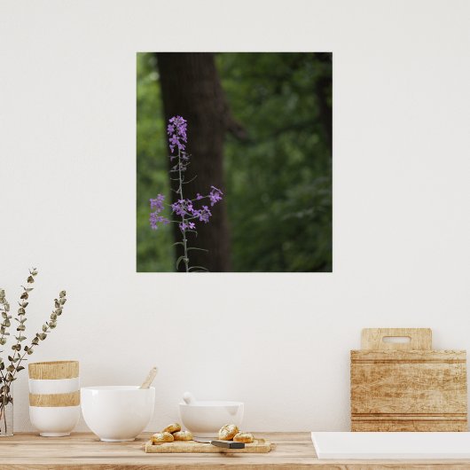 紫野花 ポスター (キッチン)