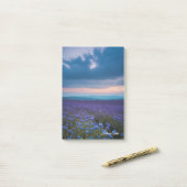 紫野花 ポストイット (デスク上)