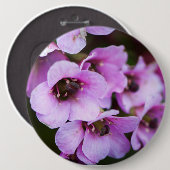 紫野花 缶バッジ (正面&裏面)