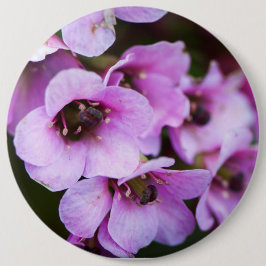 紫野花 缶バッジ