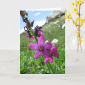 紫金山の野生の花のメッセージカード カード (黄色い花)