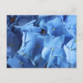紫陽花の写真撮影はがき ポストカード