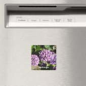 紫陽花の様々な紫色 マグネット (インサイチュ (食洗機))