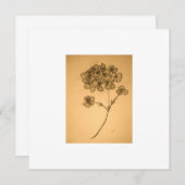 紫陽花の淡い色の招待状/グリーティングカード 招待状 (正面/裏面)