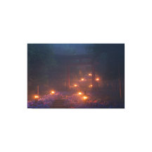 紫陽花の階段 (Night)