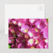 紫陽花はがき ポストカード (正面/裏面)
