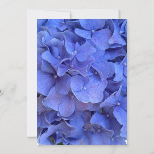 紫陽花エレガントフローラ結婚病 招待状 (裏面)