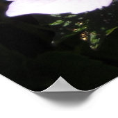 紫陽花エレガント ポスター (角)