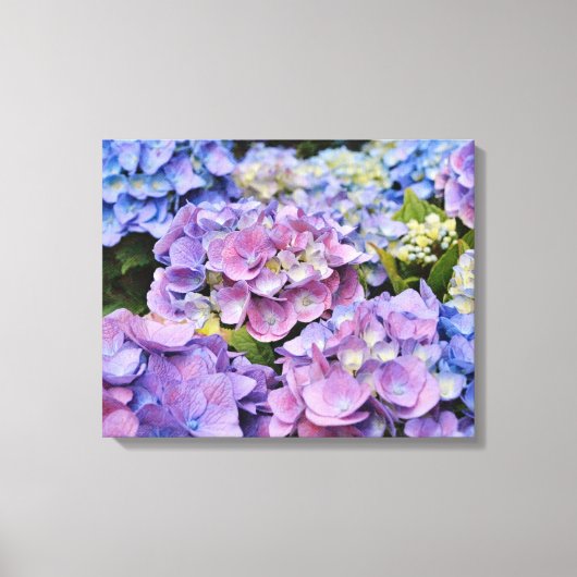 紫陽花カラフル写真アート キャンバスプリント (正面)