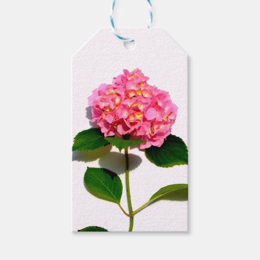 紫陽花ピンクフローラピンク花 ギフトタグ (正面)