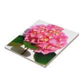 紫陽花ピンクフローラピンク花 タイル (側面)