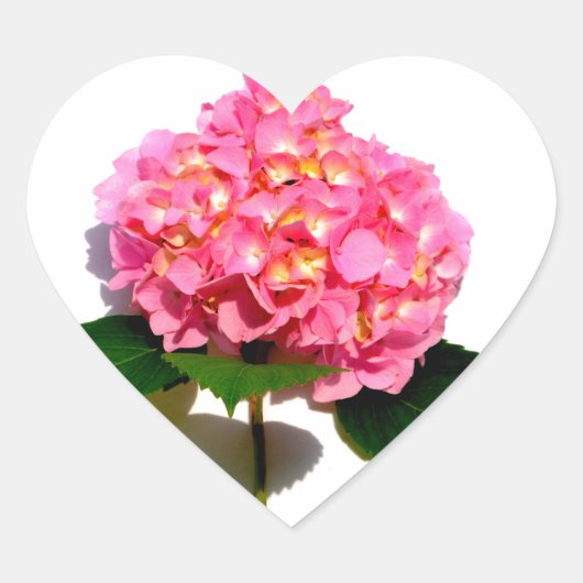 紫陽花ピンクフローラピンク花 ハートシール (正面)